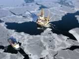 Территория «Роснефти» и «Газпрома»,  на арктическом шельфе
