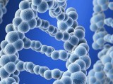 Ученые из США заявили о разработке суперклея на основе ДНК